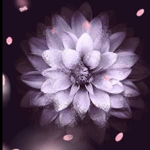 Meet your Posher, Bella